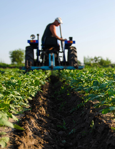 Why Sustainable Farming Matters for India
