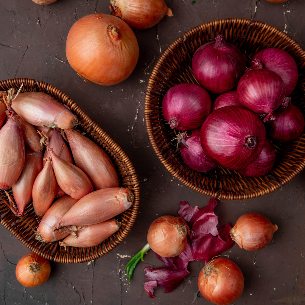 Onion