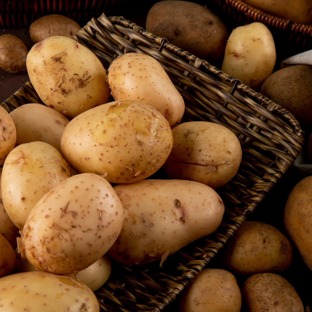 Potato