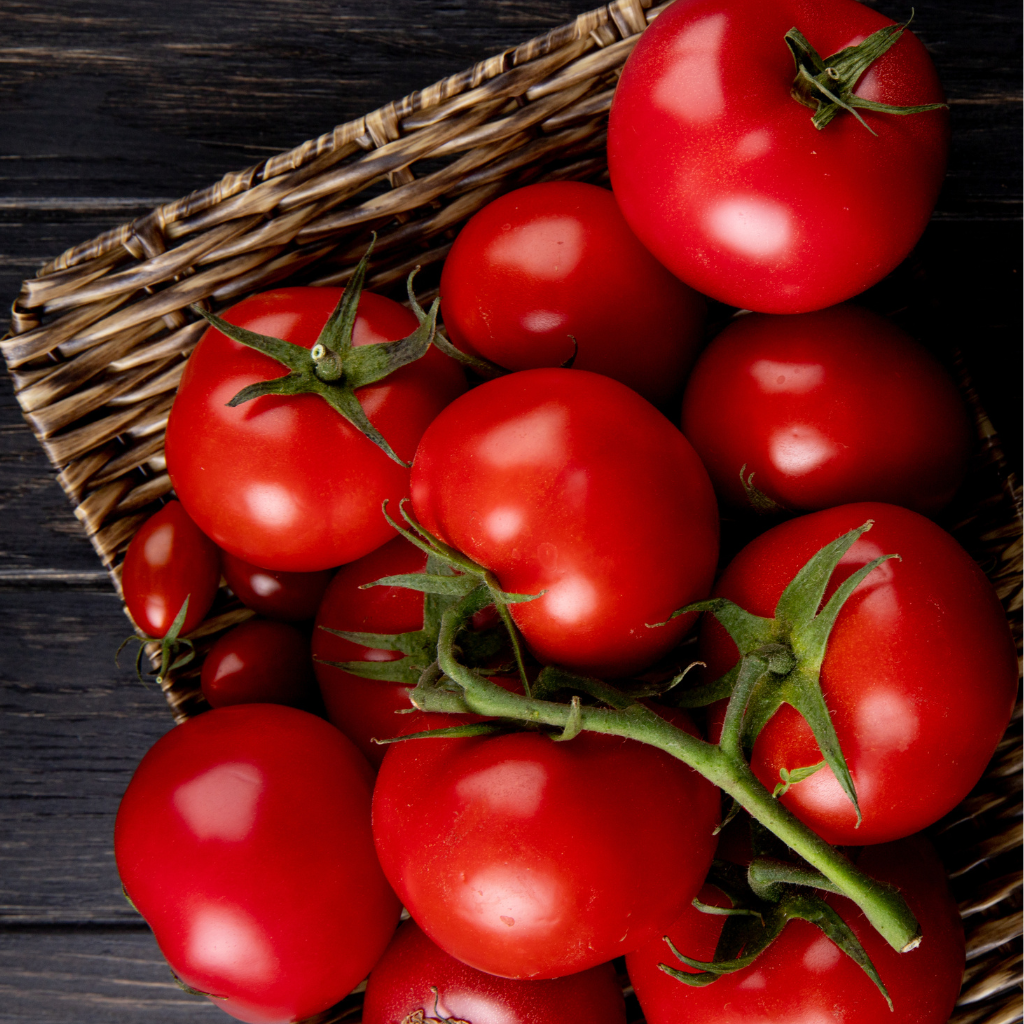 Tomato